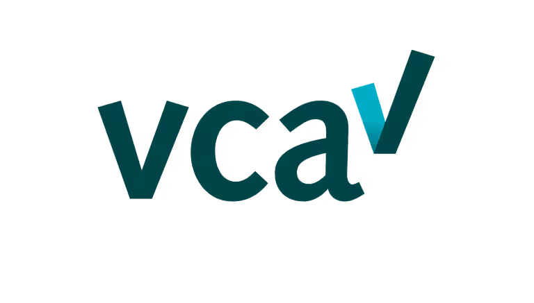 VCA-VOL gecertificeerd, Veiligheid voor Operationeel Leidinggevenden